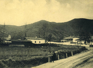 Старая фотография виноградников города Судак 1910 год, Крым